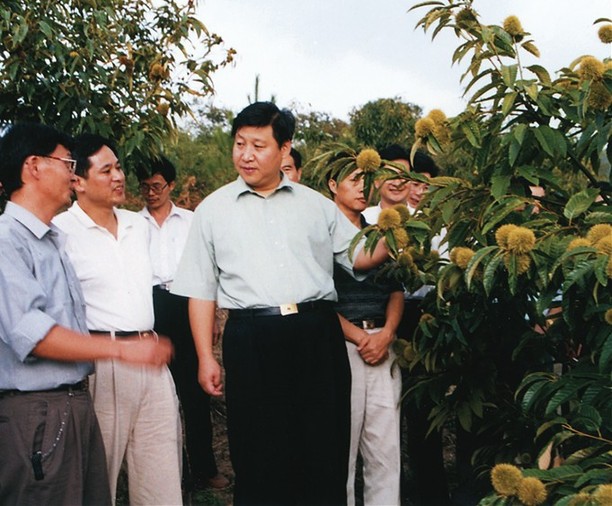 2000年9月，習(xí)近平總書記（時任福建省委副書記、省長）到掛鉤幫扶點南平市政和縣調(diào)研。（資料圖片）